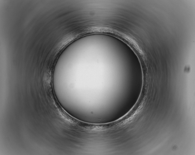 X0000100360841200806131013