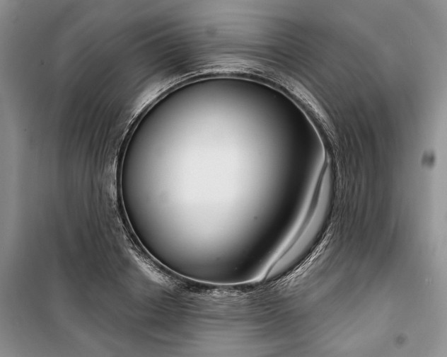 X0000100360842200806131013