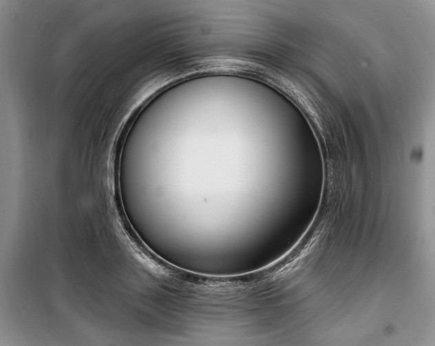 X0000100360843200806131013