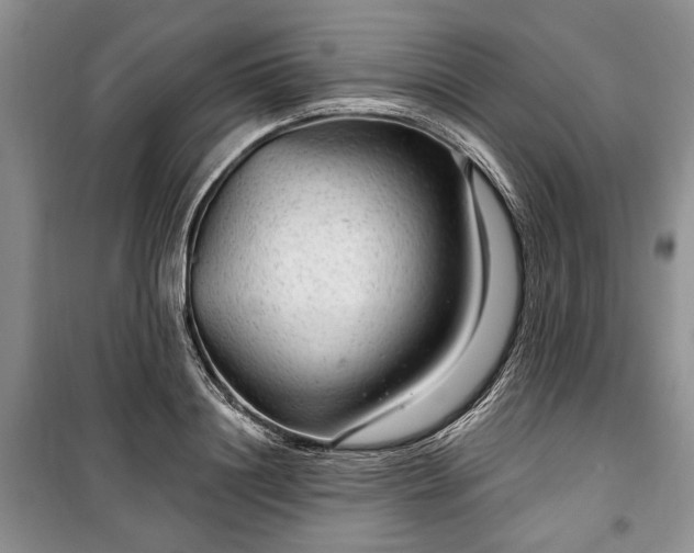 X0000100360844200806131013