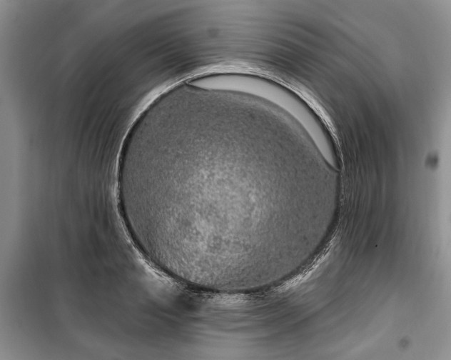 X0000100360845200806131013