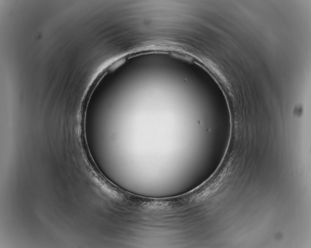 X0000100360846200806131013