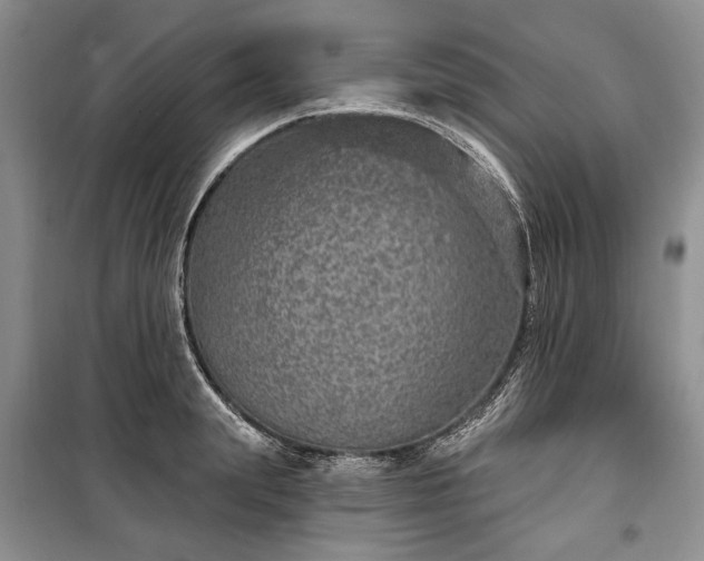 X0000100360847200806131013