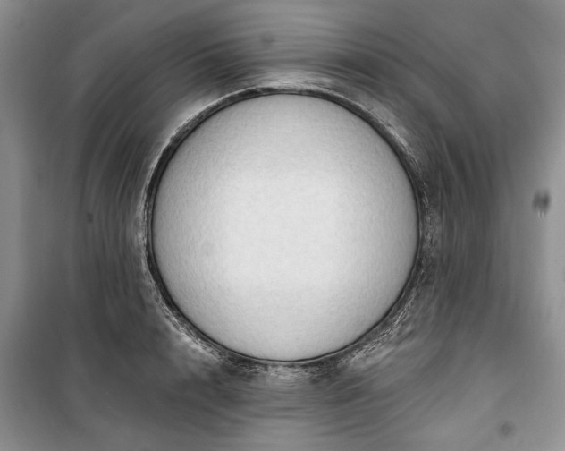 X0000100360848200806131013