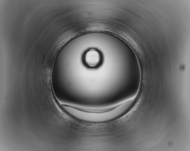 X0000100360849200806131013