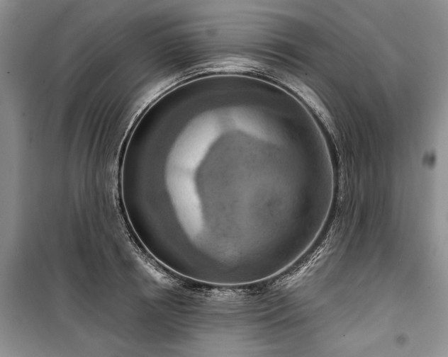 X0000100360850200806131013