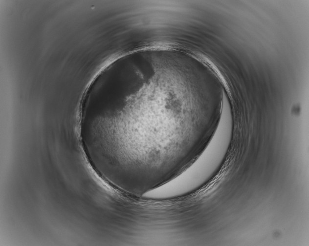 X0000100360851200806131013