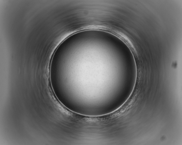 X0000100360852200806131013