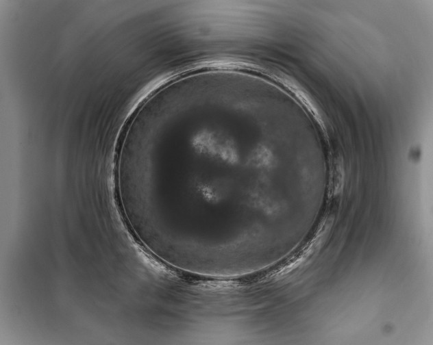 X0000100360853200806131013