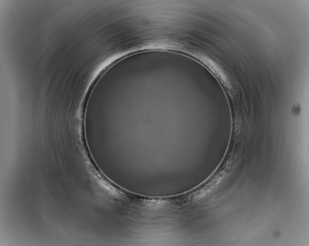 X0000100360854200806131013