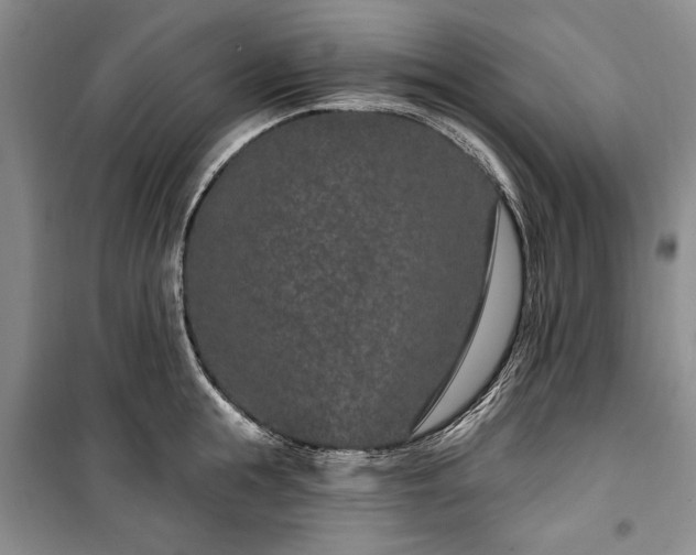 X0000100360855200806131013