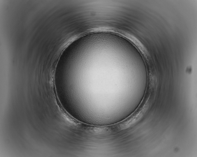 X0000100360857200806131013