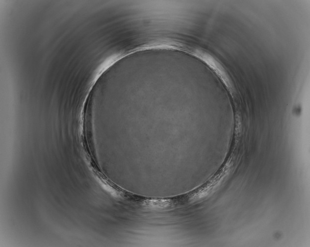 X0000100360858200806131013