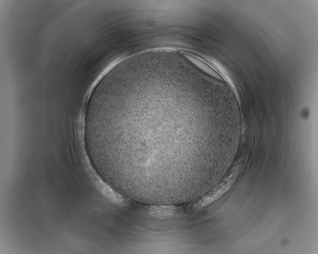 X0000100360859200806131013