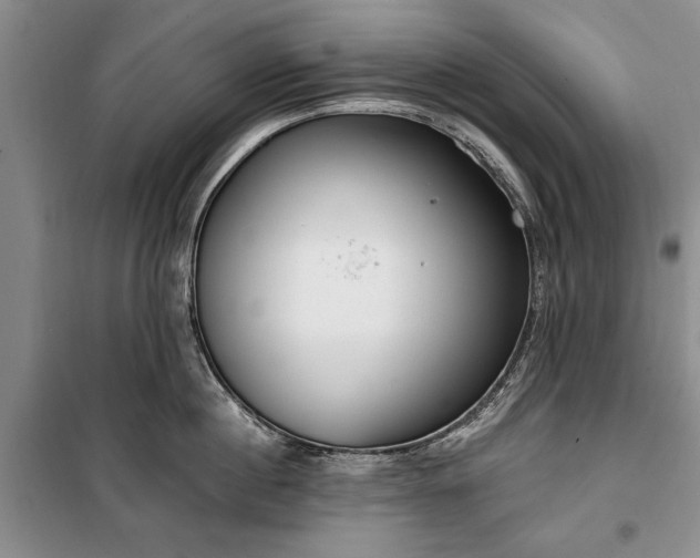 X0000100360860200806131013