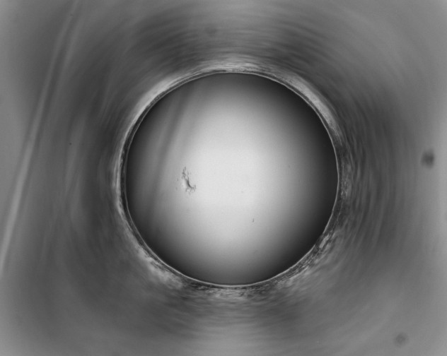 X0000100360861200806131013