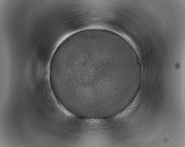 X0000100360862200806131013