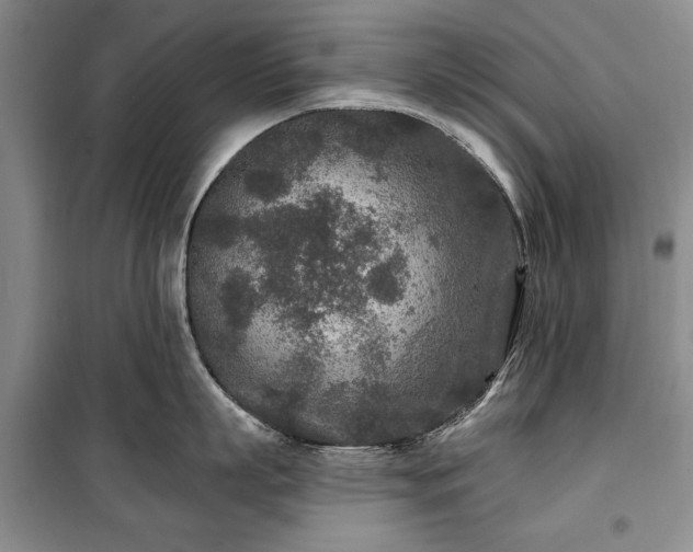 X0000100360863200806131013