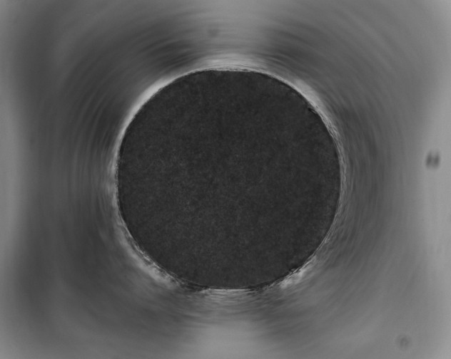 X0000100360864200806131013