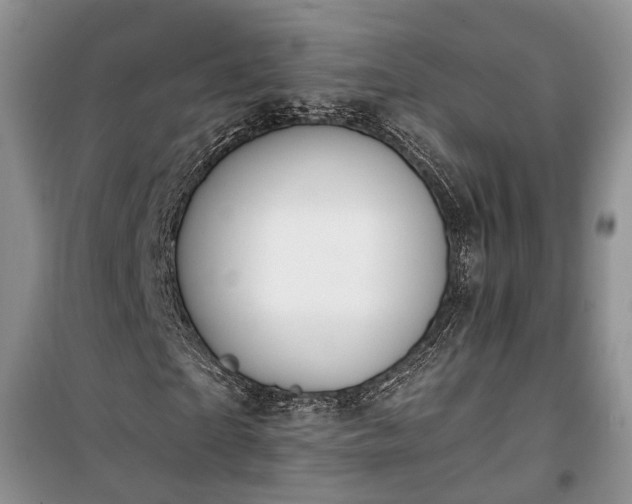 X0000100360865200806131013