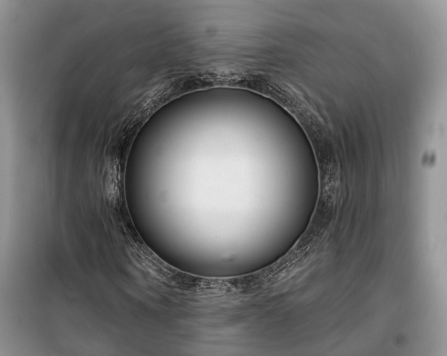 X0000100360866200806131013