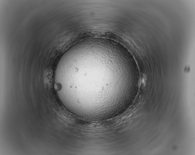 X0000100360867200806131013