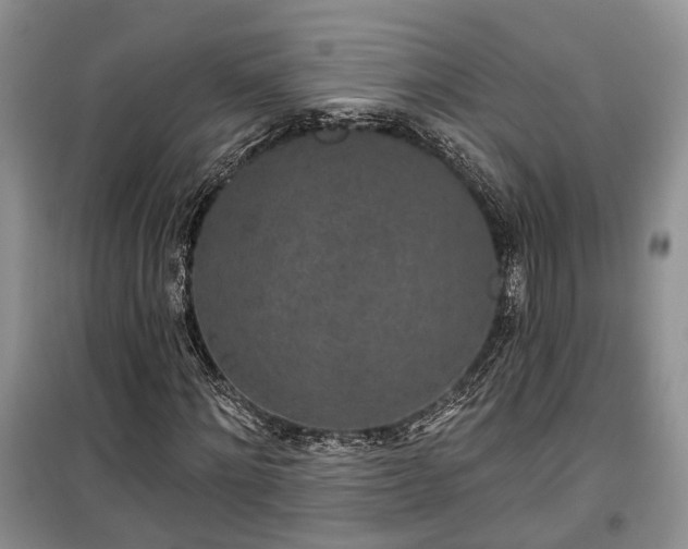 X0000100360868200806131013