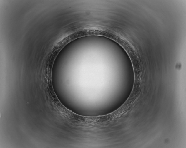 X0000100360870200806131013