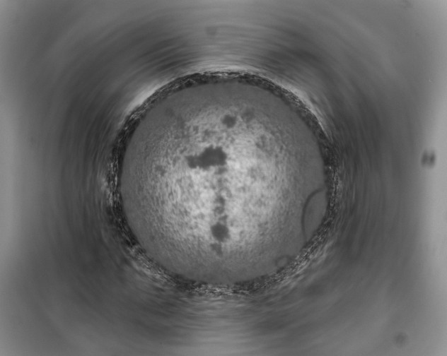 X0000100360871200806131013