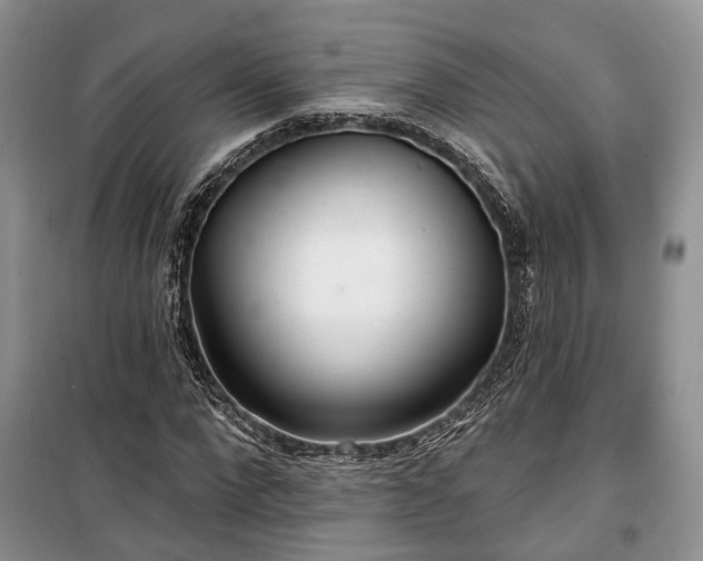 X0000100360872200806131013