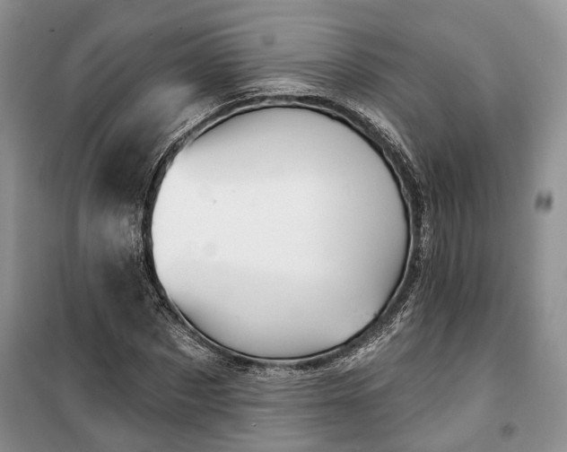 X0000100360873200806131013