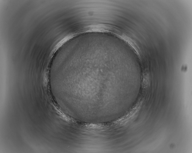 X0000100360874200806131013