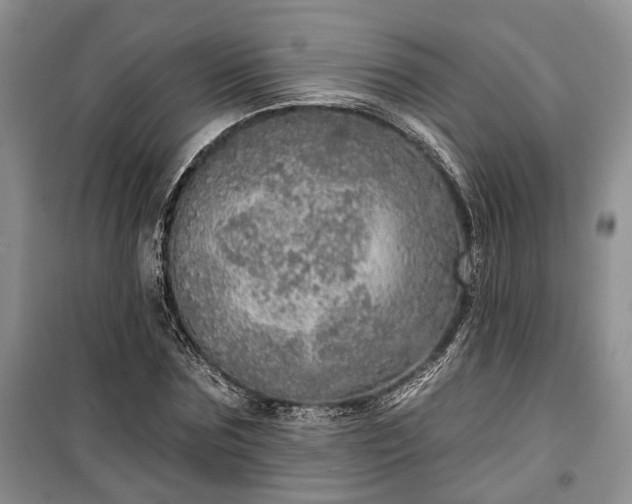 X0000100360875200806131013