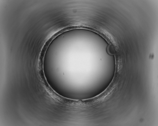 X0000100360876200806131013