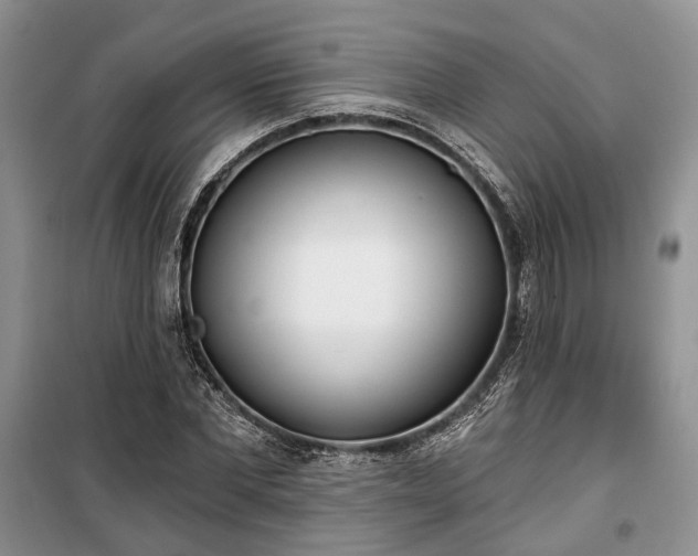 X0000100360877200806131013