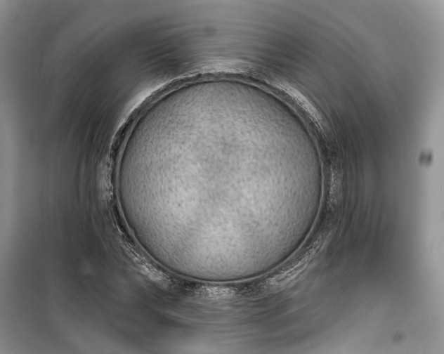 X0000100360878200806131013