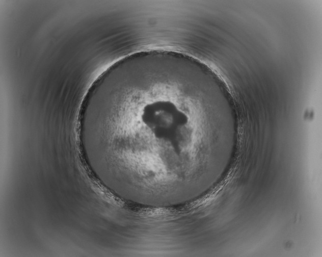 X0000100360879200806131013