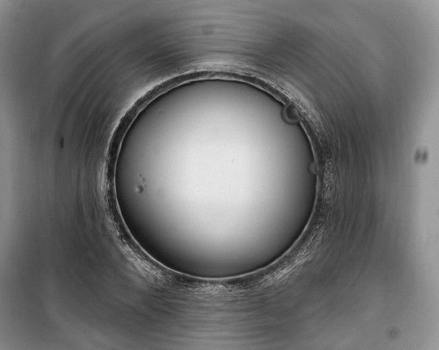 X0000100360880200806131013