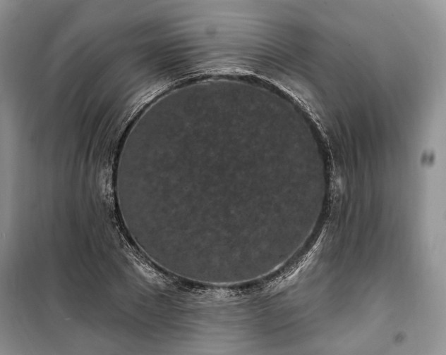 X0000100360881200806131013