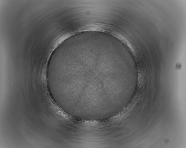 X0000100360882200806131013