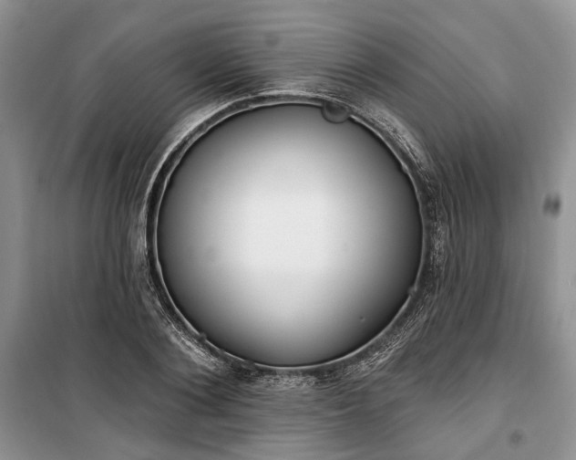 X0000100360884200806131013