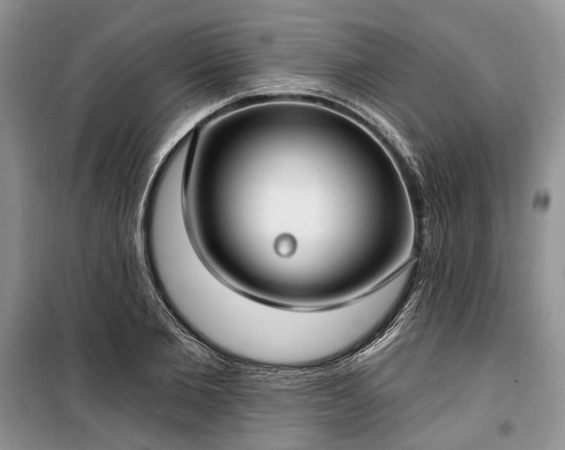 X0000100360885200806131013