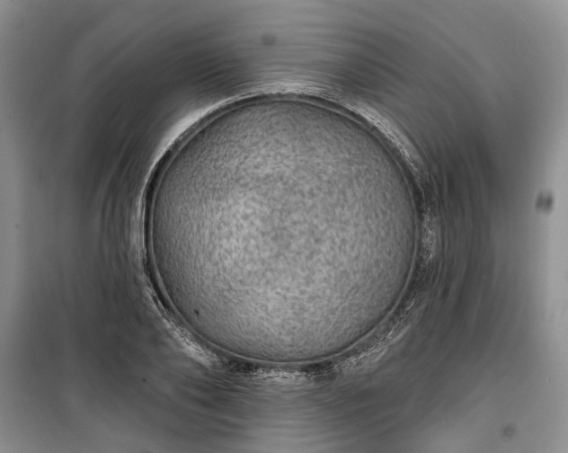 X0000100360886200806131012