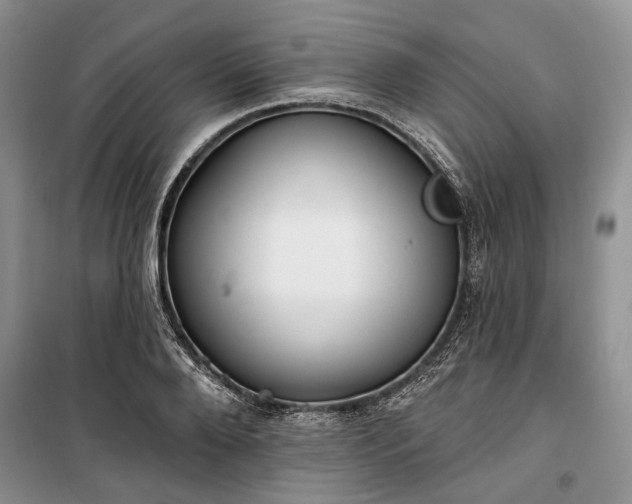 X0000100360888200806131012