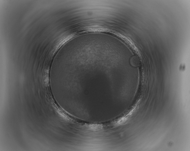 X0000100360889200806131012