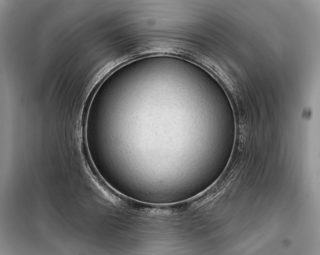 X0000100360890200806131012