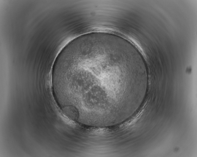 X0000100360891200806131012