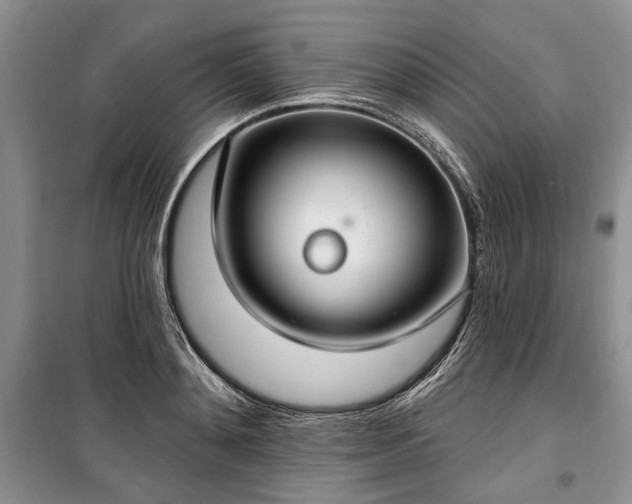 X0000100360892200806131012