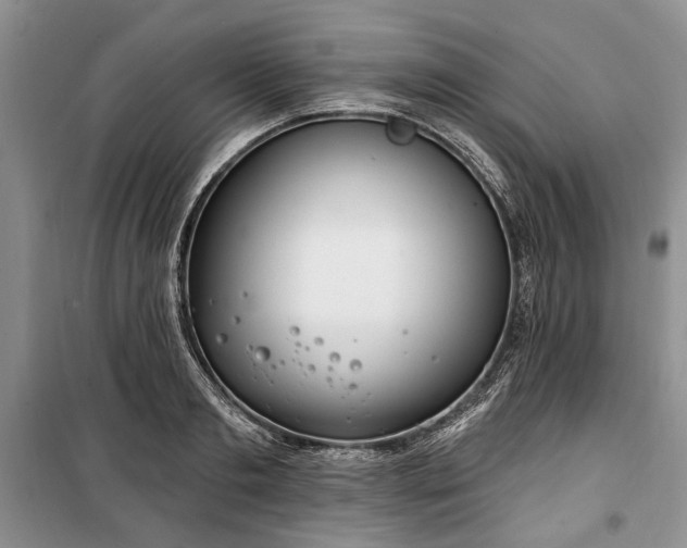 X0000100360893200806131012