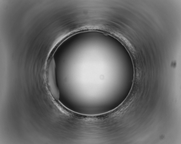 X0000100360894200806131012